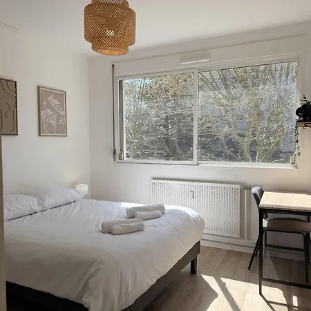 T5 Proche Lyon Et Eurexpo - 5 Couchages Apartamento